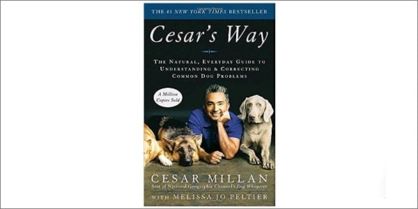 Cesar's Way Dog Training Book