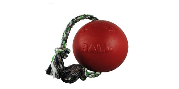 Jolly Pets Romp-n-Roll Ball Indestructible Dog Toy