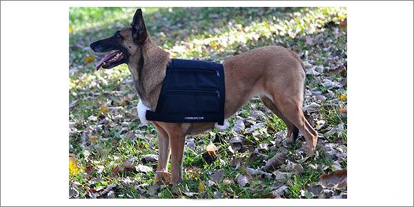 leerburg pitbull vest