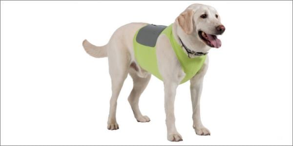 K9 Fitvest on Dog